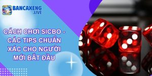 Cách Chơi Sicbo - Các Tips Chuẩn Xác Cho Người Mới Bắt Đầu